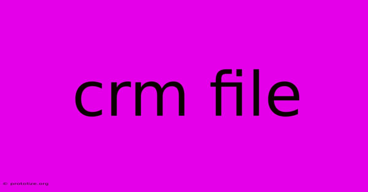 Crm File Crm File