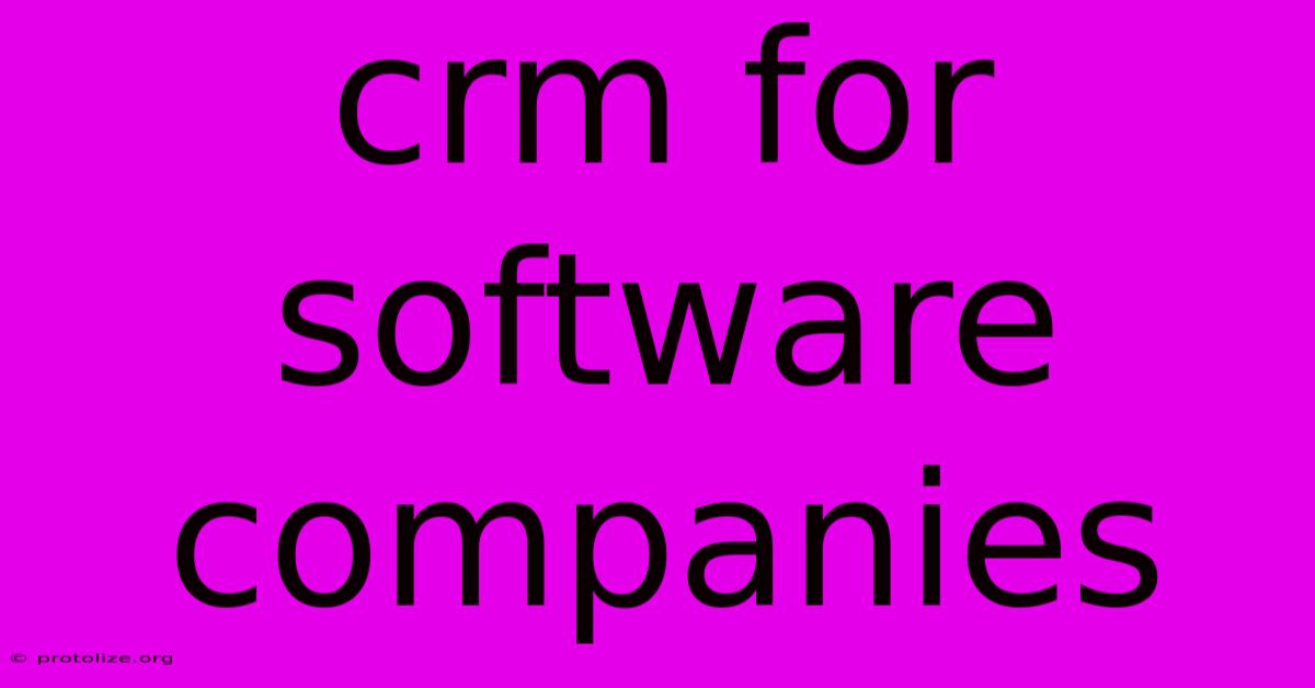 Crm For Software Companies