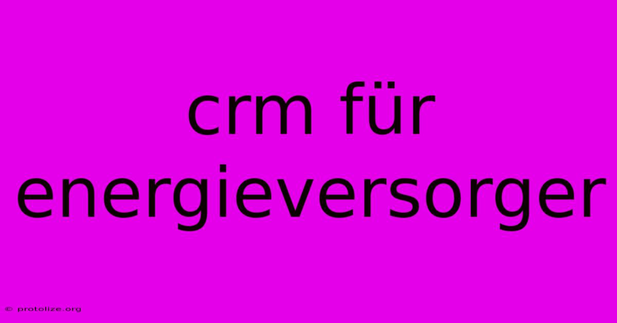 Crm Für Energieversorger Crm Für Energieversorger
