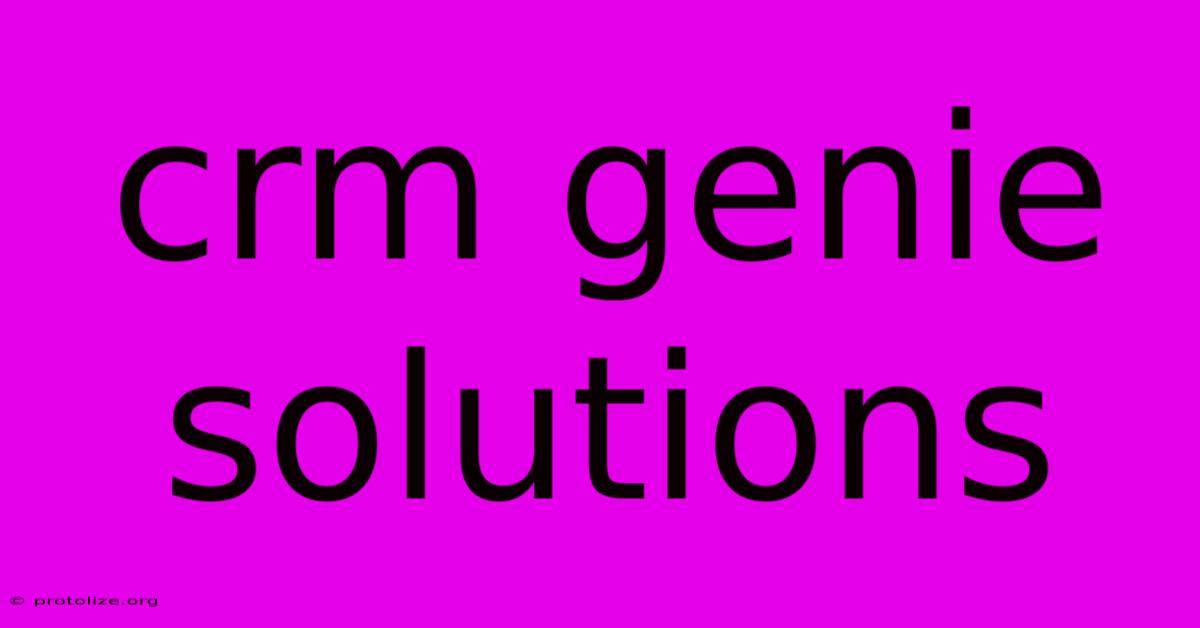 Crm Genie Solutions