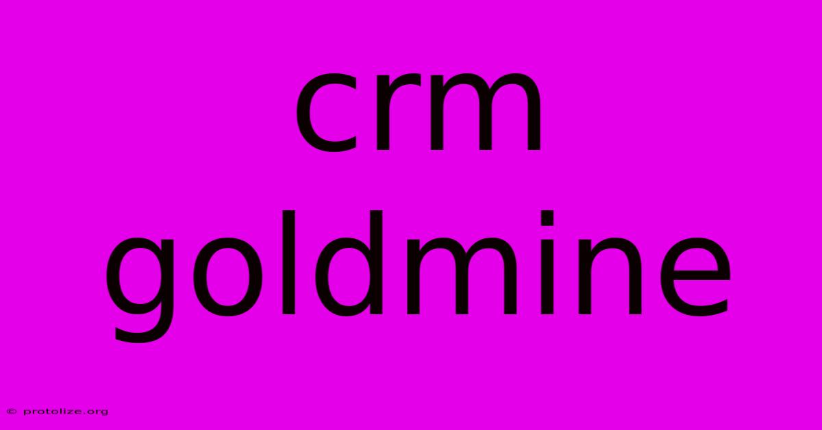 Crm Goldmine Crm Goldmine