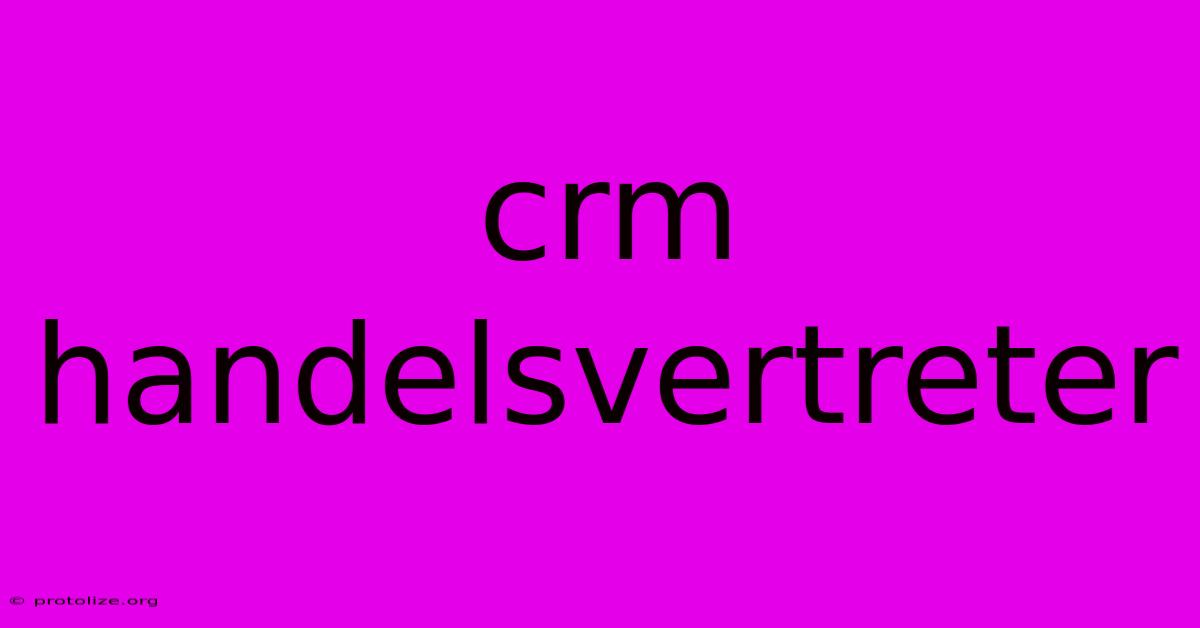 Crm Handelsvertreter Crm Handelsvertreter