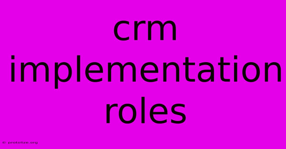 Crm Implementation Roles