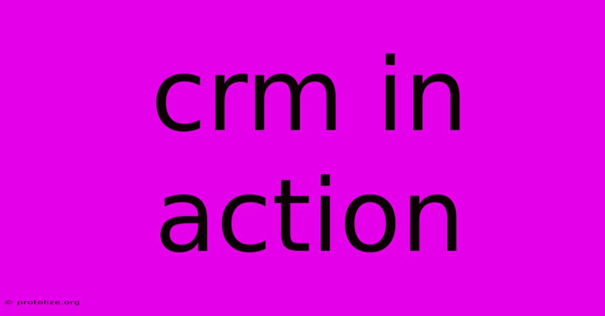 Crm In Action