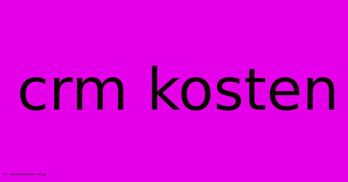 Crm Kosten Crm Kosten