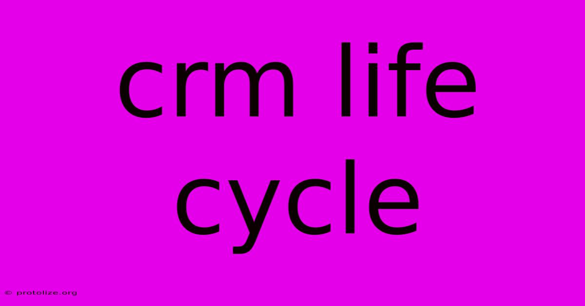 Crm Life Cycle Crm Life Cycle