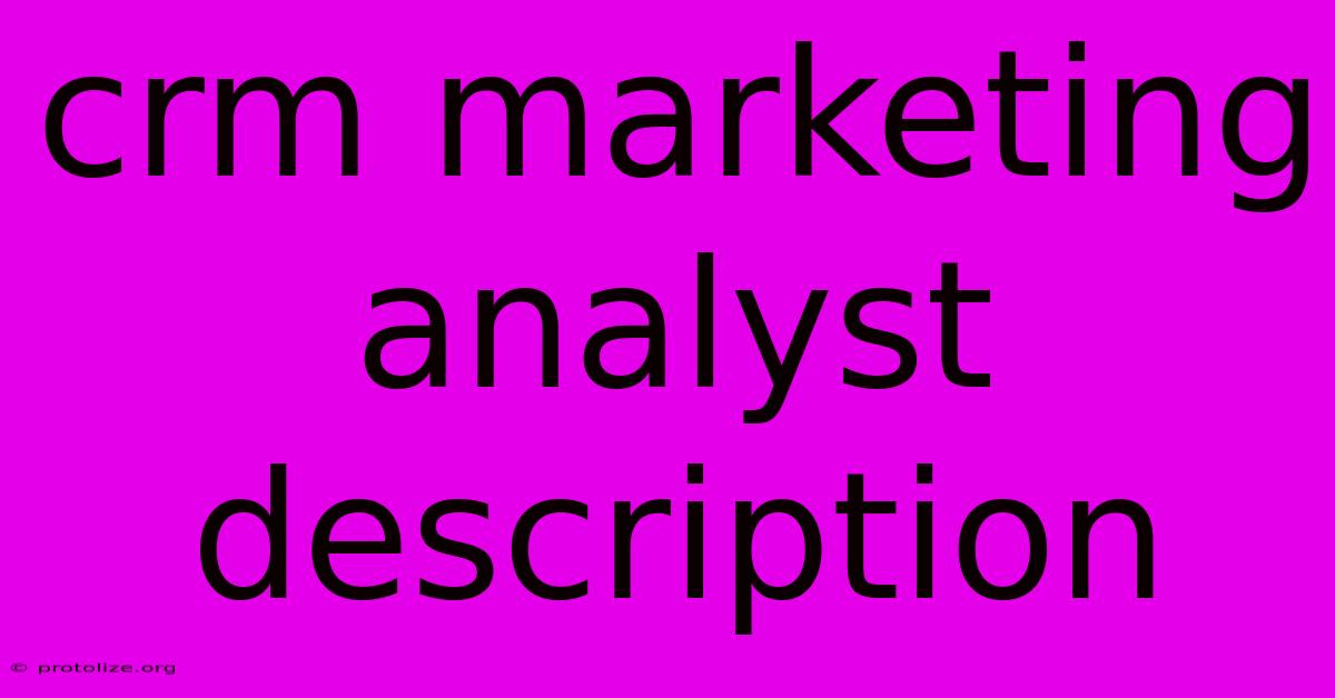 Crm Marketing Analyst Description