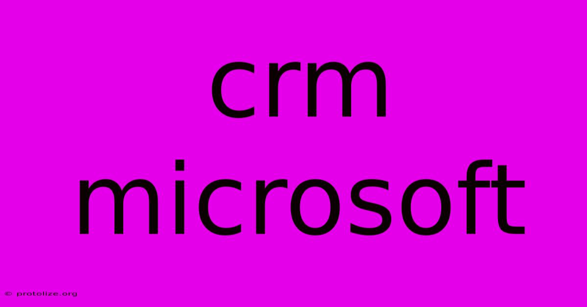 Crm Microsoft Crm Microsoft