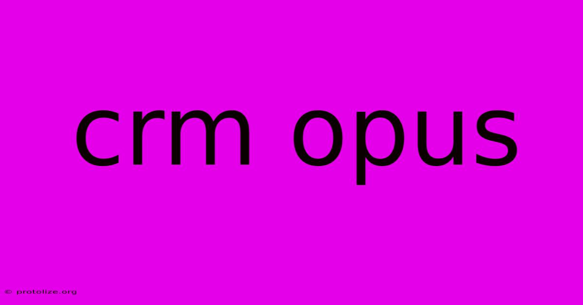 Crm Opus