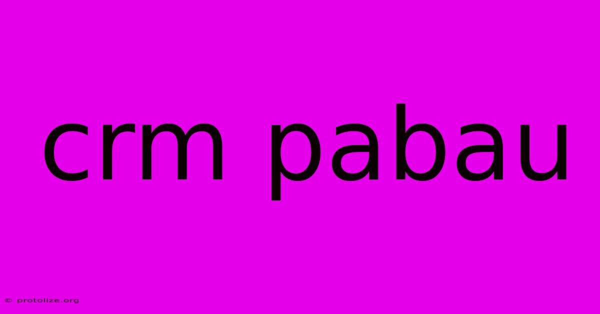 Crm Pabau