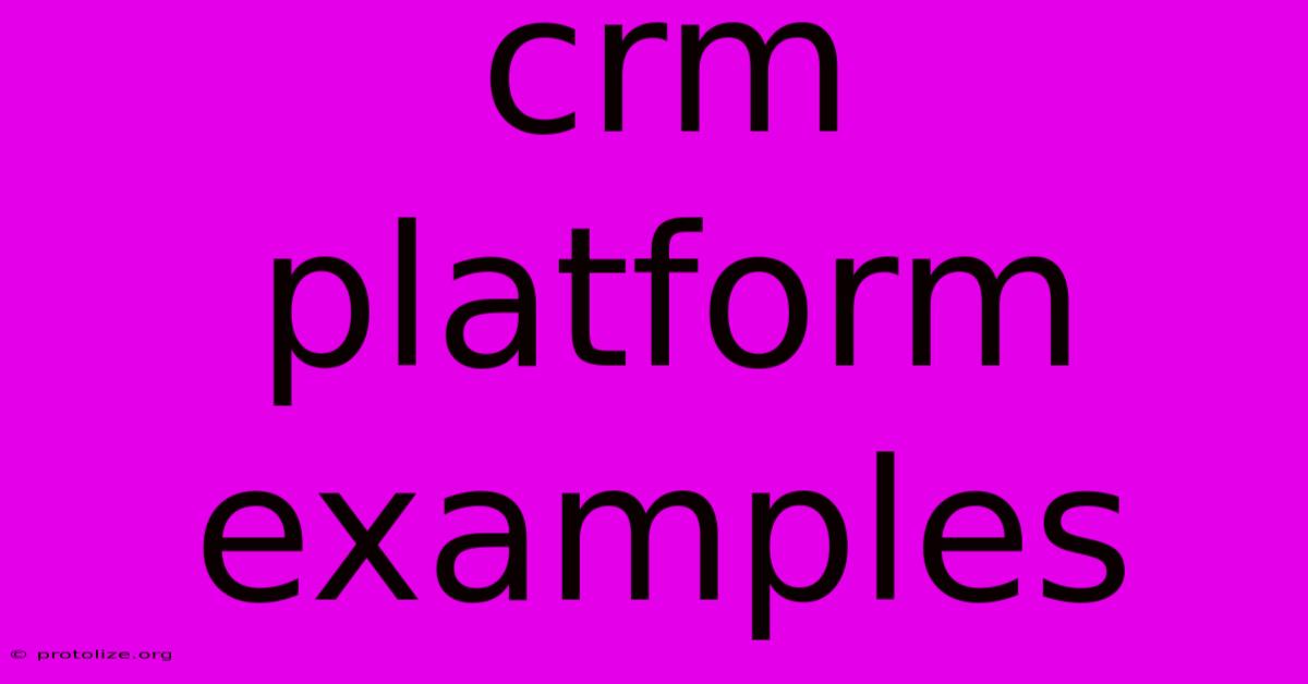 Crm Platform Examples