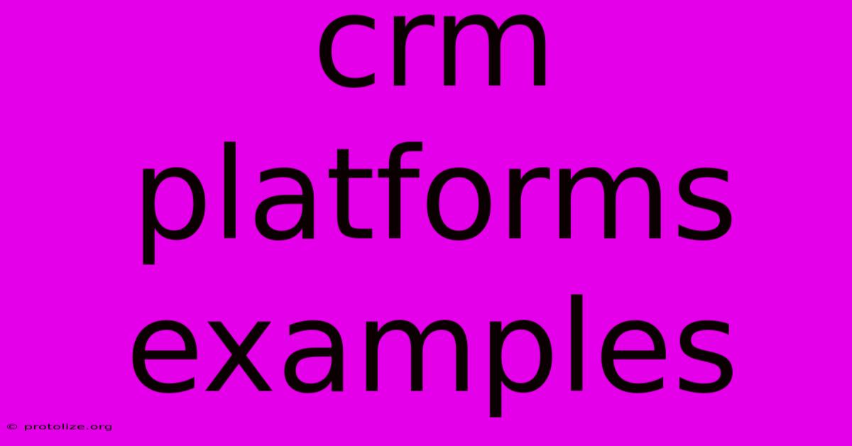 Crm Platforms Examples