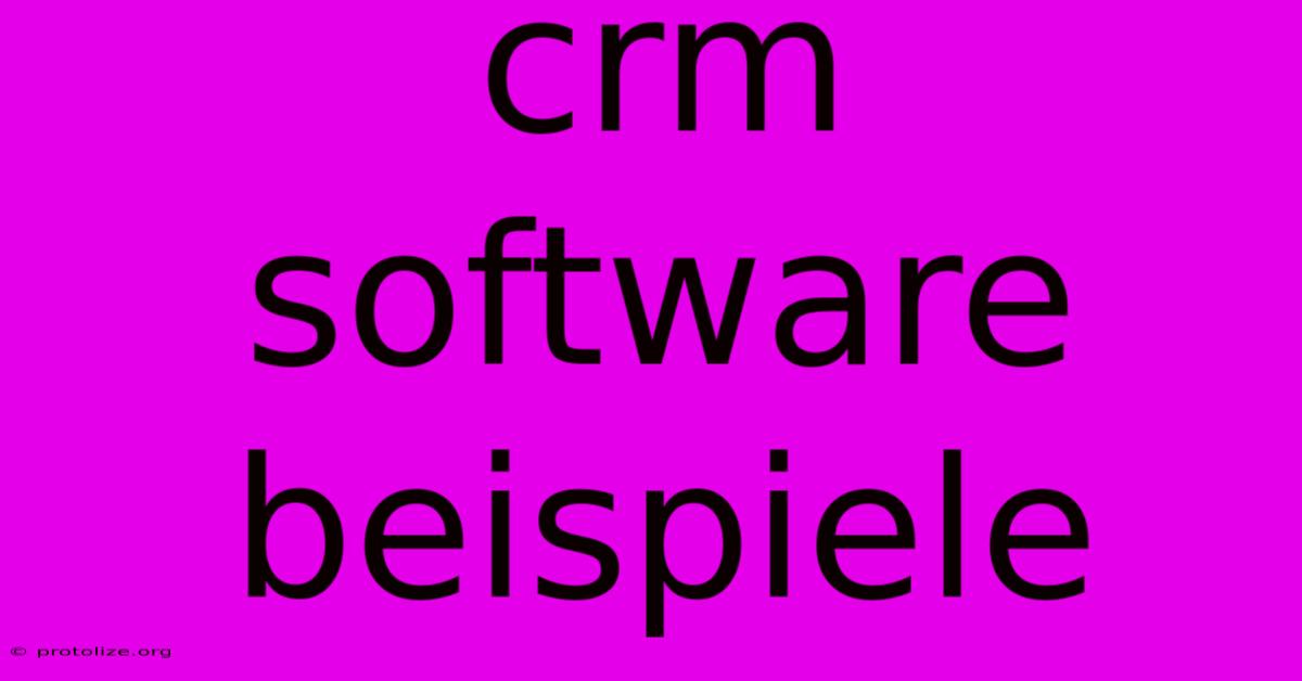 Crm Software Beispiele Crm Software Beispiele