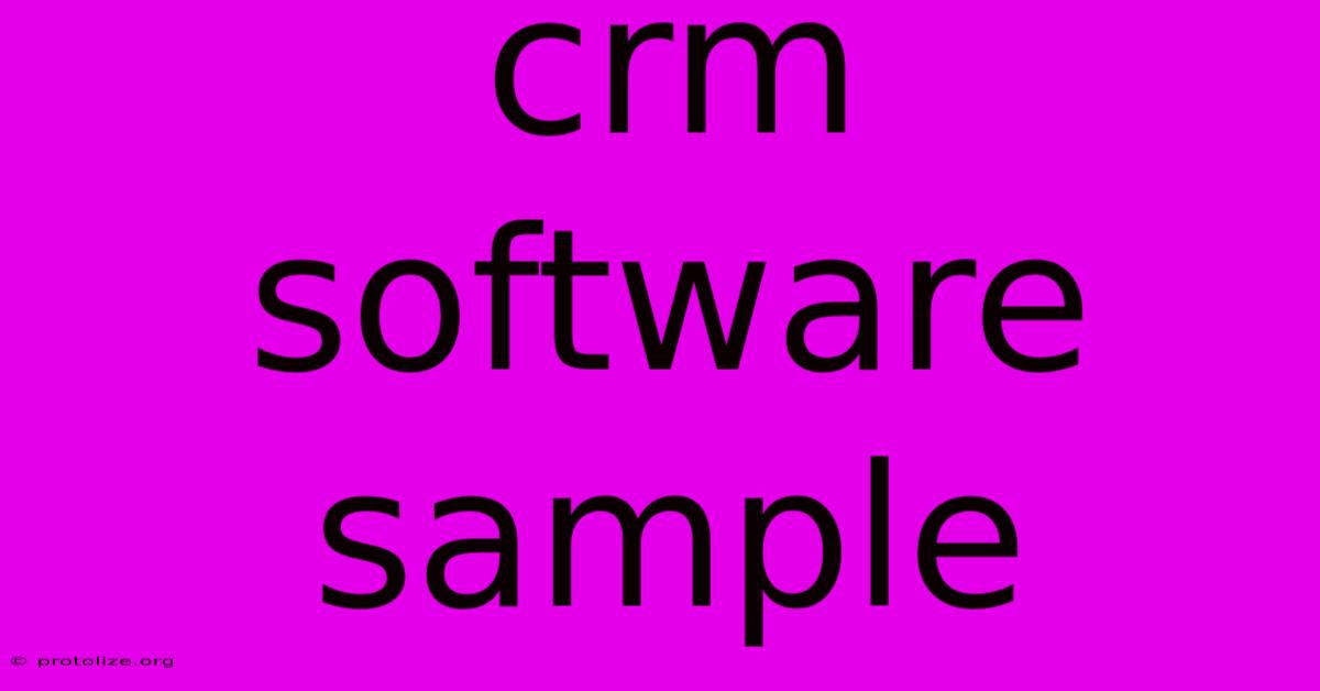 Crm Software Sample