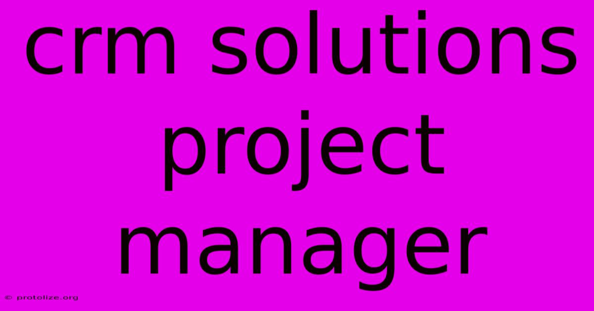 Crm Solutions Project Manager