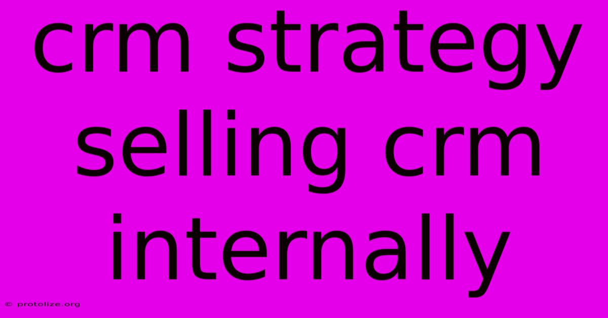 Crm Strategy Selling Crm Internally