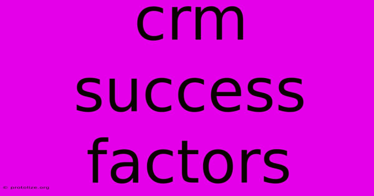 Crm Success Factors