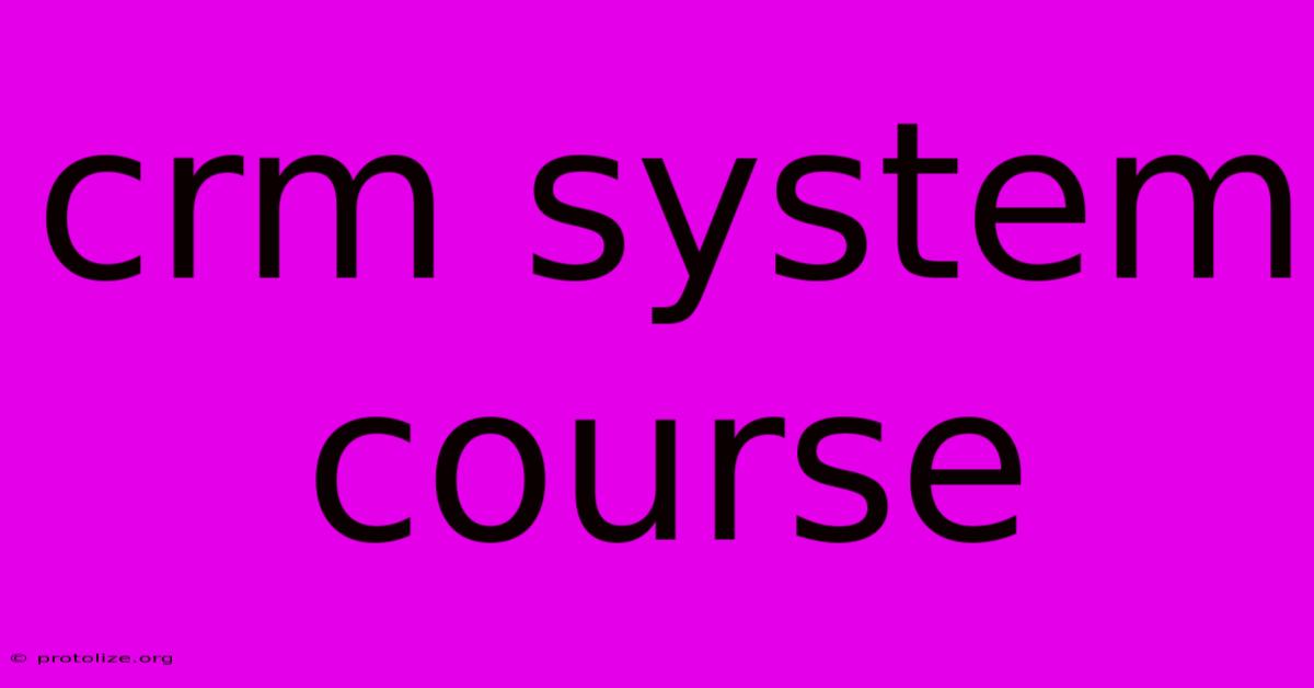 Crm System Course