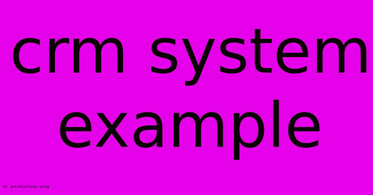 Crm System Example