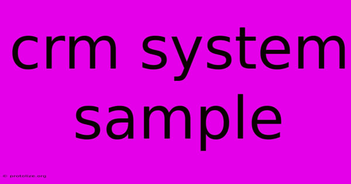 Crm System Sample