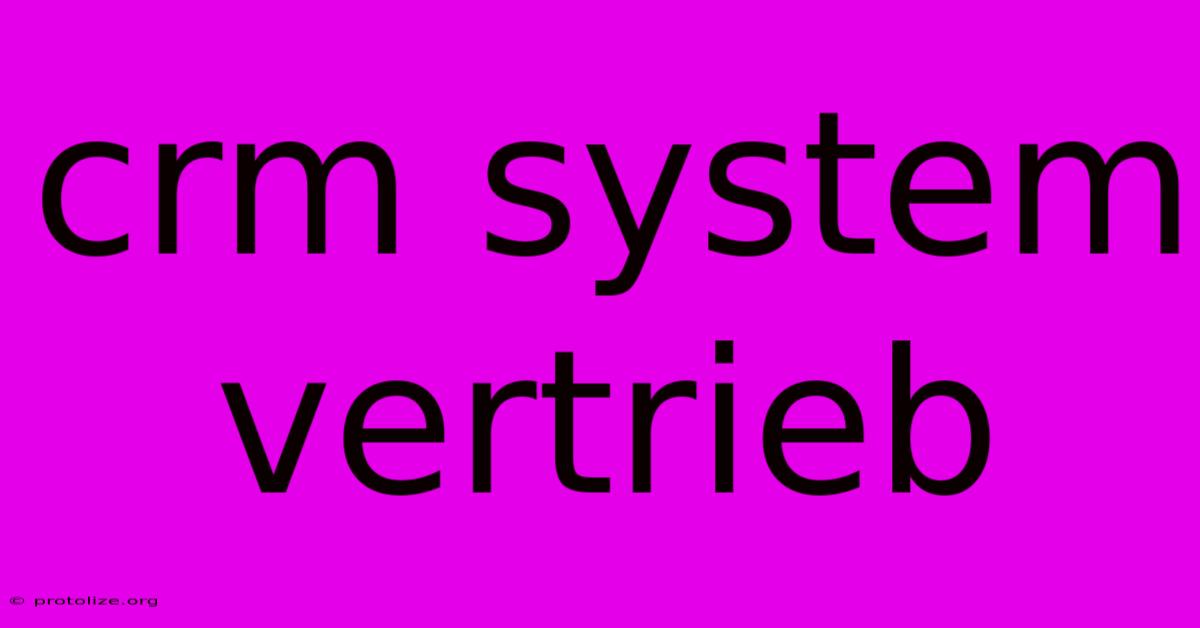 Crm System Vertrieb Crm System Vertrieb