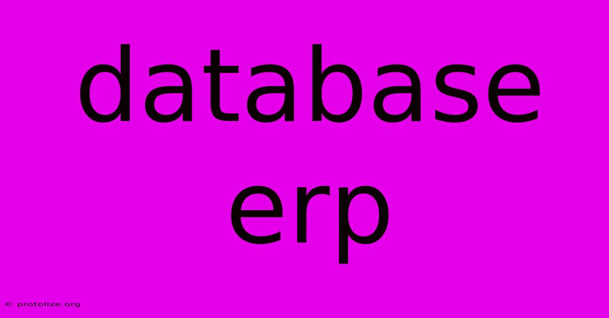 Database Erp Database Erp