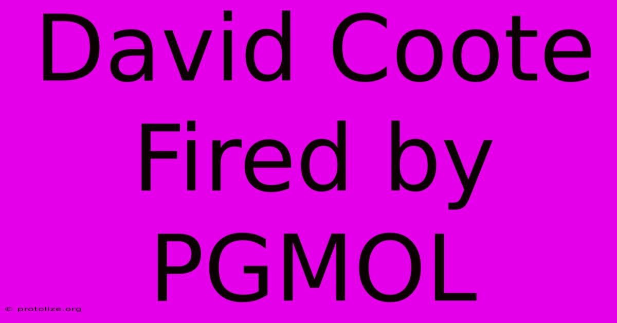 David Coote Fired By PGMOL