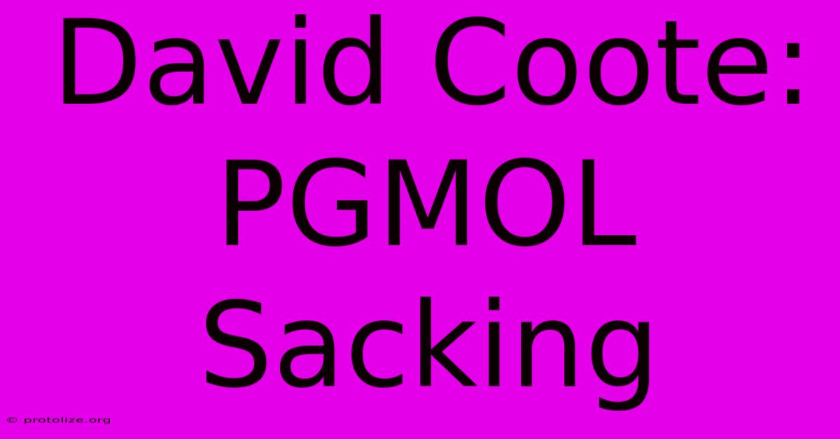 David Coote: PGMOL Sacking