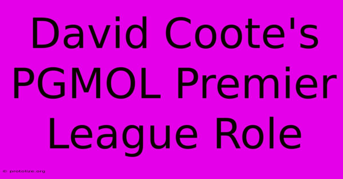 David Coote's PGMOL Premier League Role