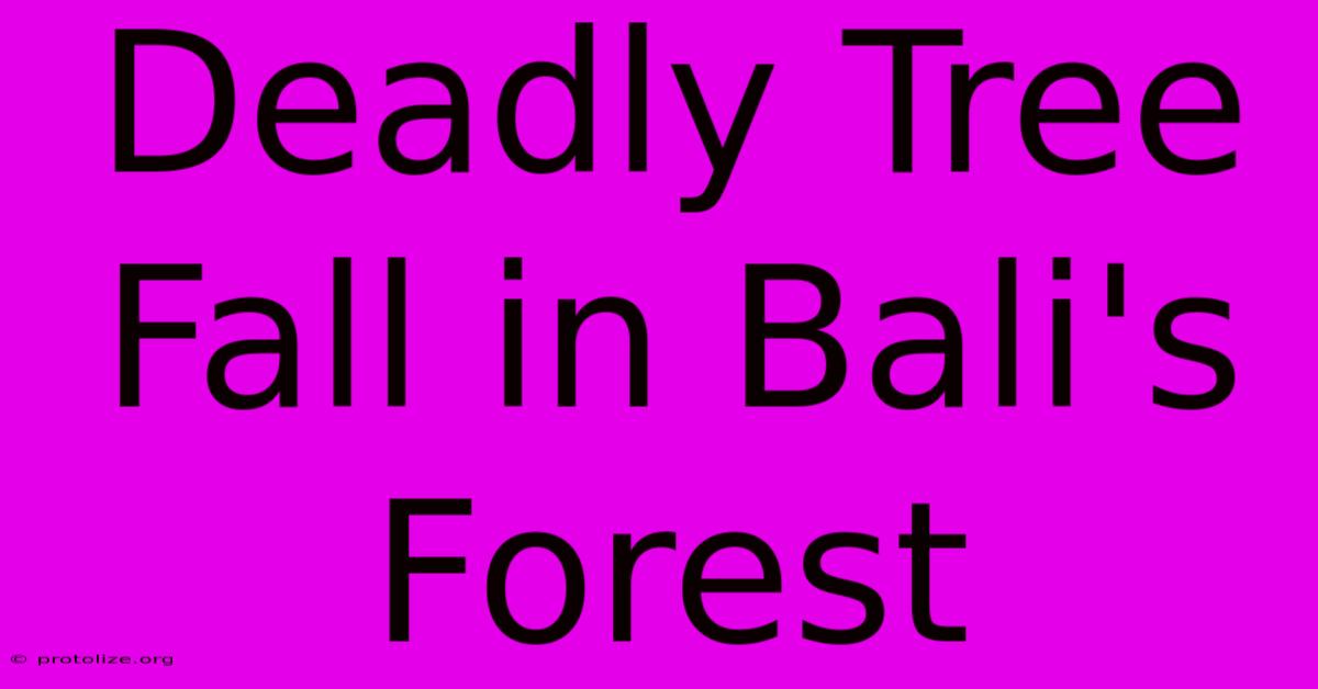 Deadly Tree Fall In Bali's Forest Deadly Tree Fall In Bali's Forest