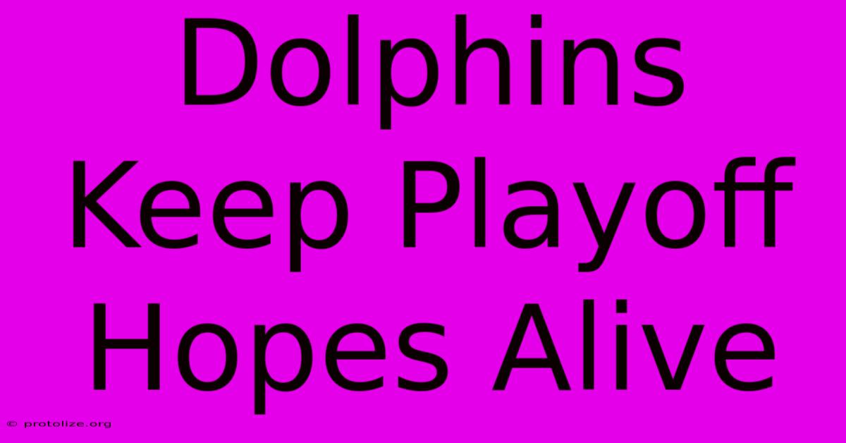 Dolphins Keep Playoff Hopes Alive Dolphins Keep Playoff Hopes Alive