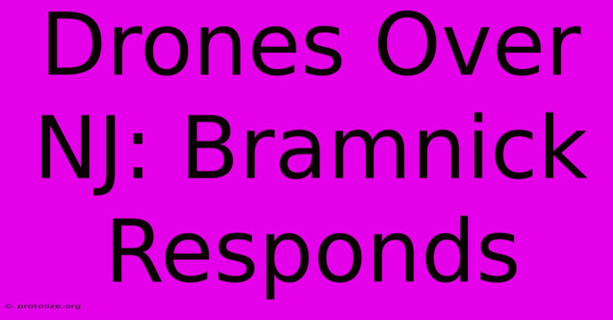 Drones Over NJ: Bramnick Responds Drones Over NJ: Bramnick Responds