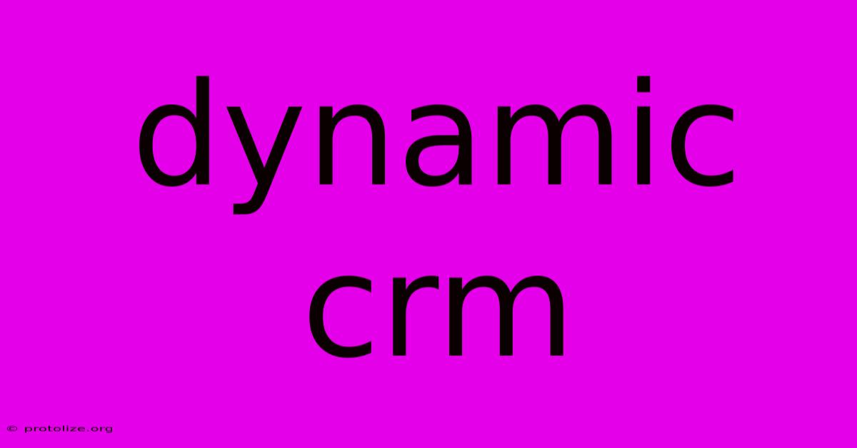 Dynamic Crm