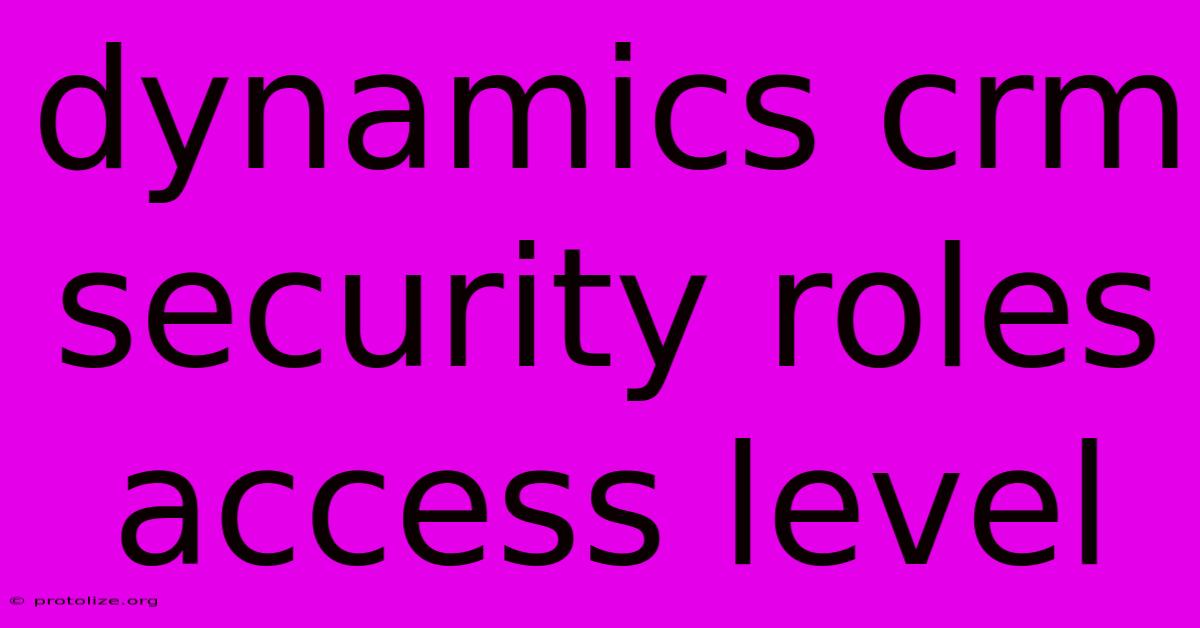 Dynamics Crm Security Roles Access Level