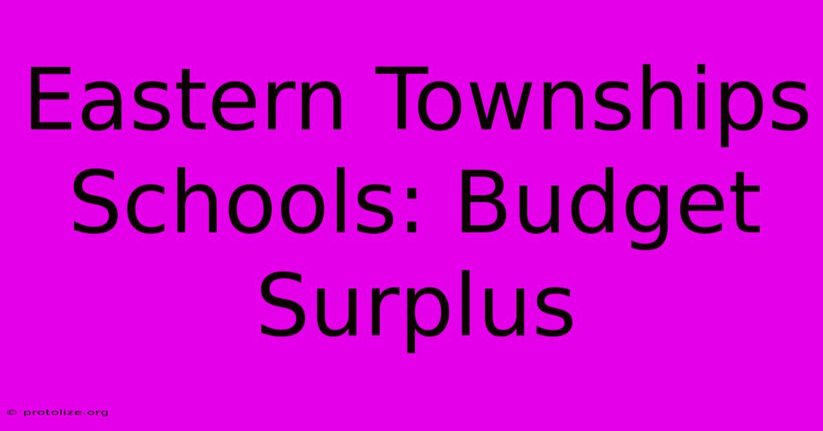 Eastern Townships Schools: Budget Surplus