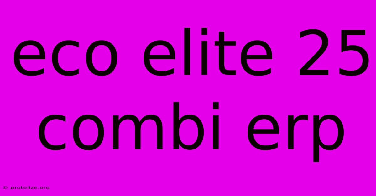 Eco Elite 25 Combi Erp Eco Elite 25 Combi Erp