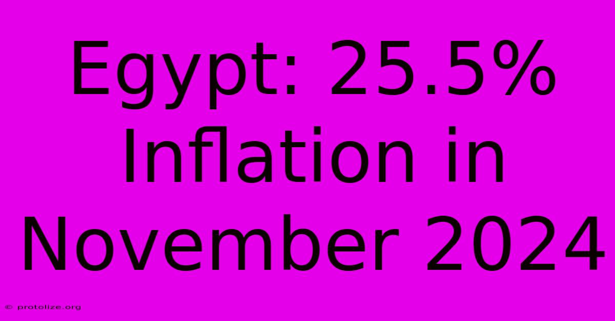 Egypt: 25.5% Inflation In November 2024 Egypt: 25.5% Inflation In November 2024