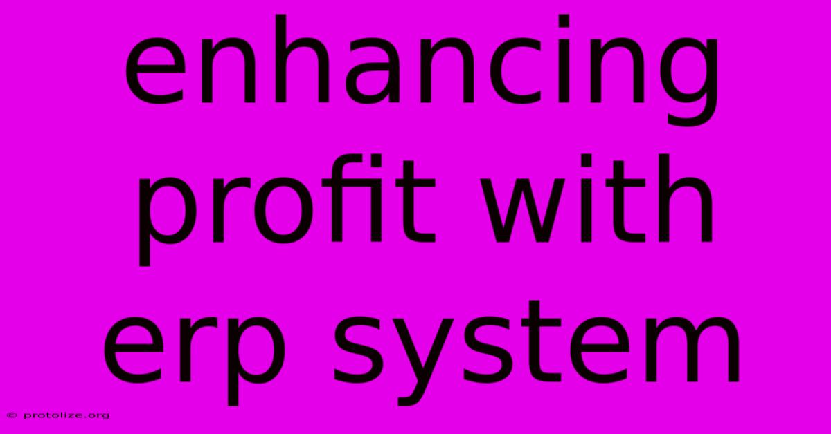 Enhancing Profit With Erp System Enhancing Profit With Erp System
