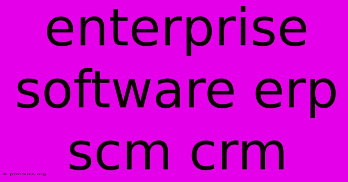 Enterprise Software Erp Scm Crm