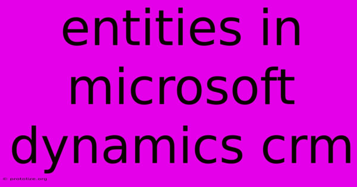 Entities In Microsoft Dynamics Crm