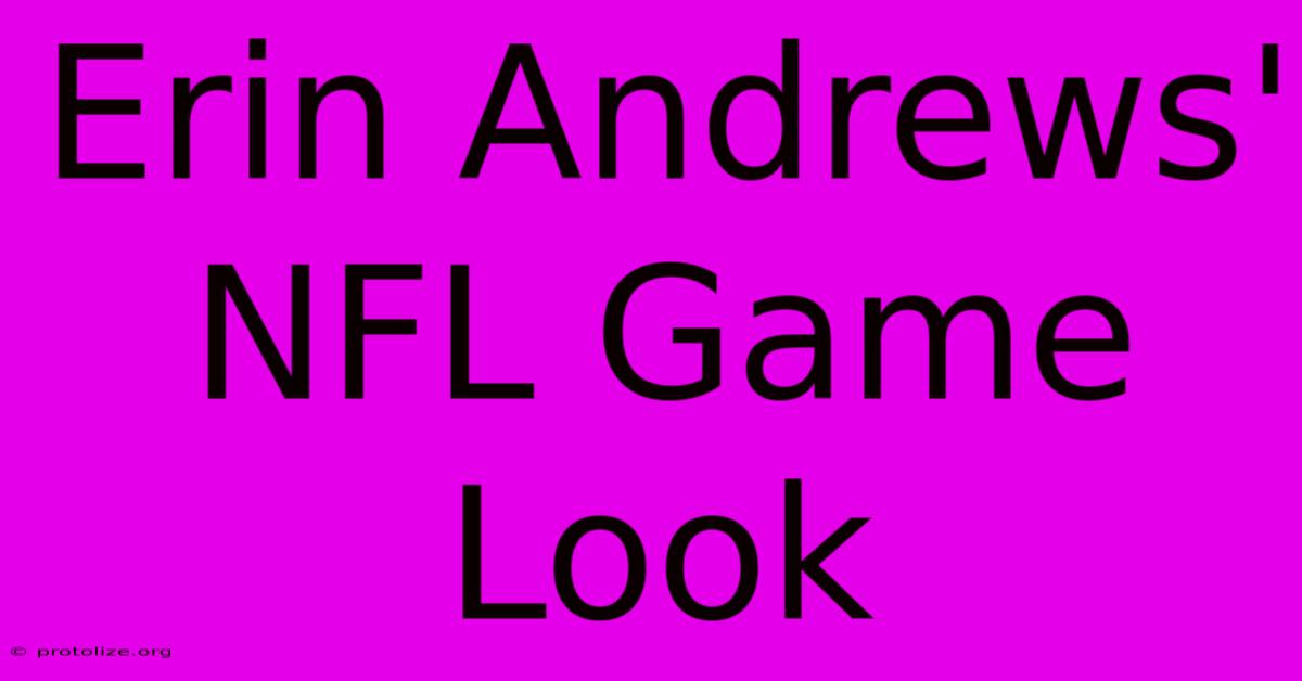 Erin Andrews' NFL Game Look Erin Andrews' NFL Game Look