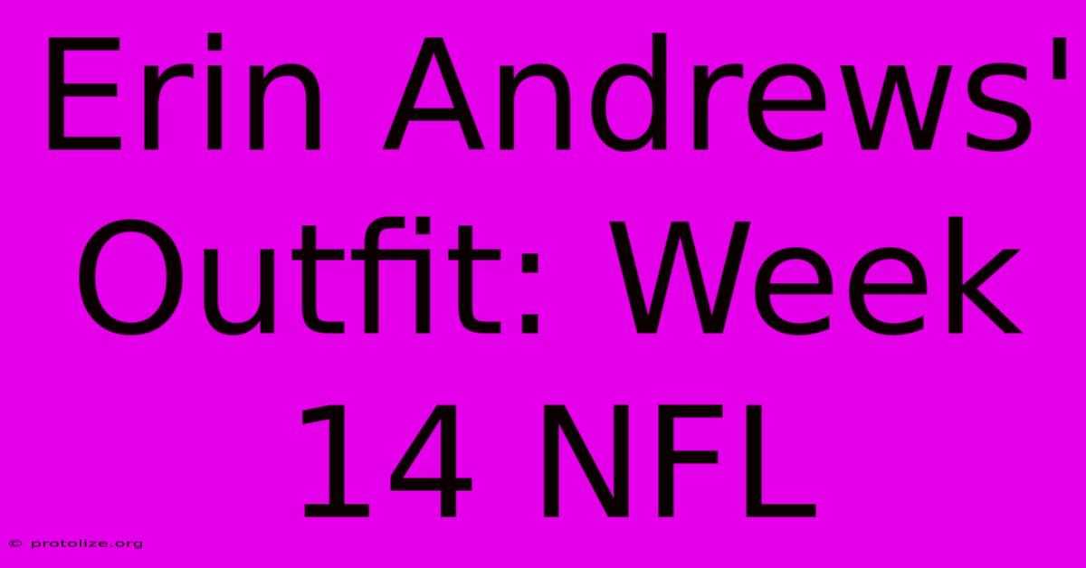 Erin Andrews' Outfit: Week 14 NFL Erin Andrews' Outfit: Week 14 NFL