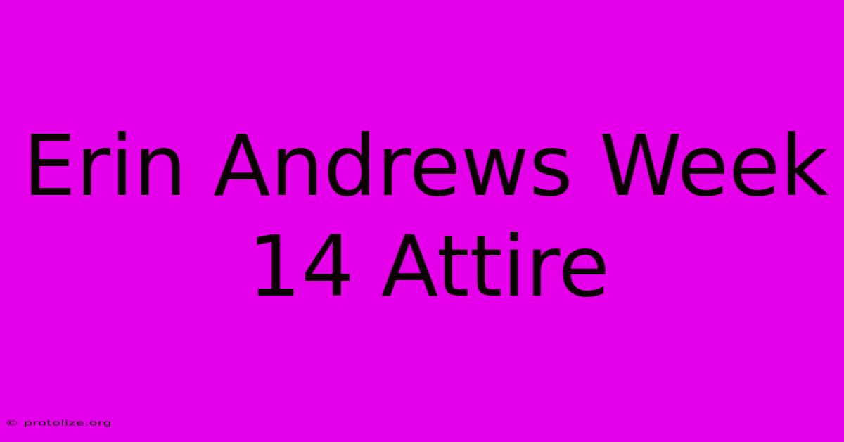 Erin Andrews Week 14 Attire Erin Andrews Week 14 Attire