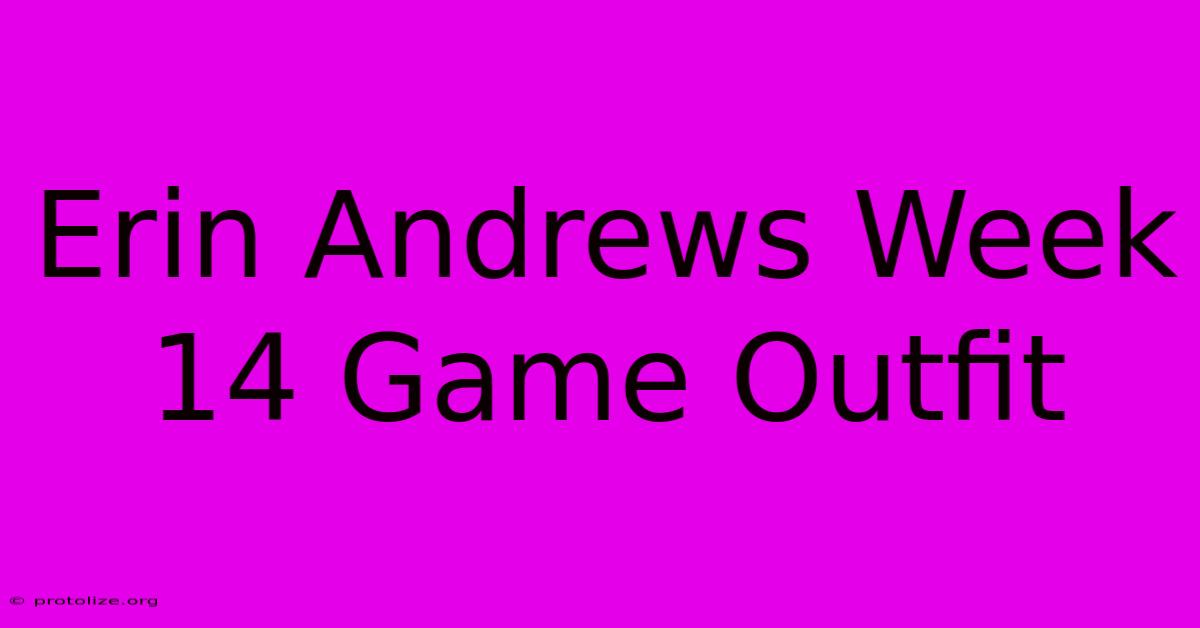 Erin Andrews Week 14 Game Outfit Erin Andrews Week 14 Game Outfit