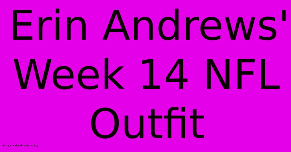 Erin Andrews' Week 14 NFL Outfit Erin Andrews' Week 14 NFL Outfit