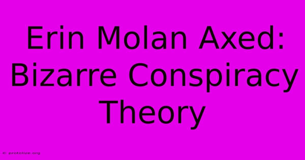 Erin Molan Axed: Bizarre Conspiracy Theory Erin Molan Axed: Bizarre Conspiracy Theory
