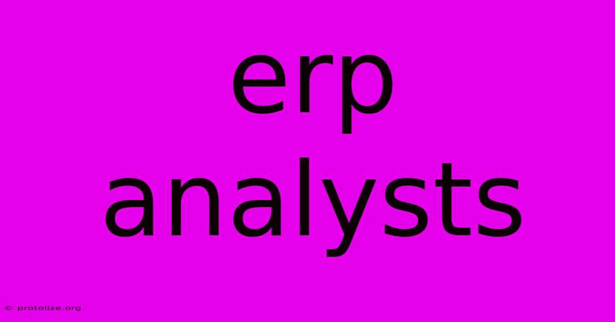 Erp Analysts