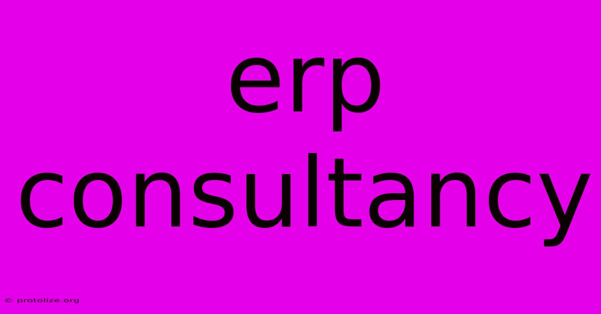 Erp Consultancy