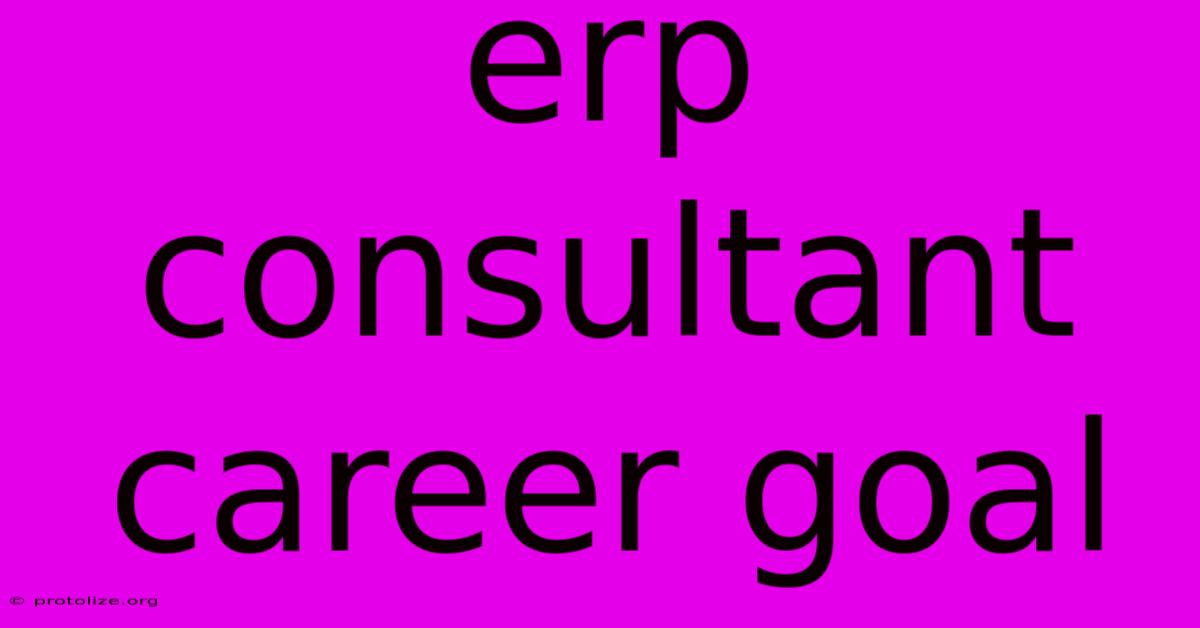 Erp Consultant Career Goal