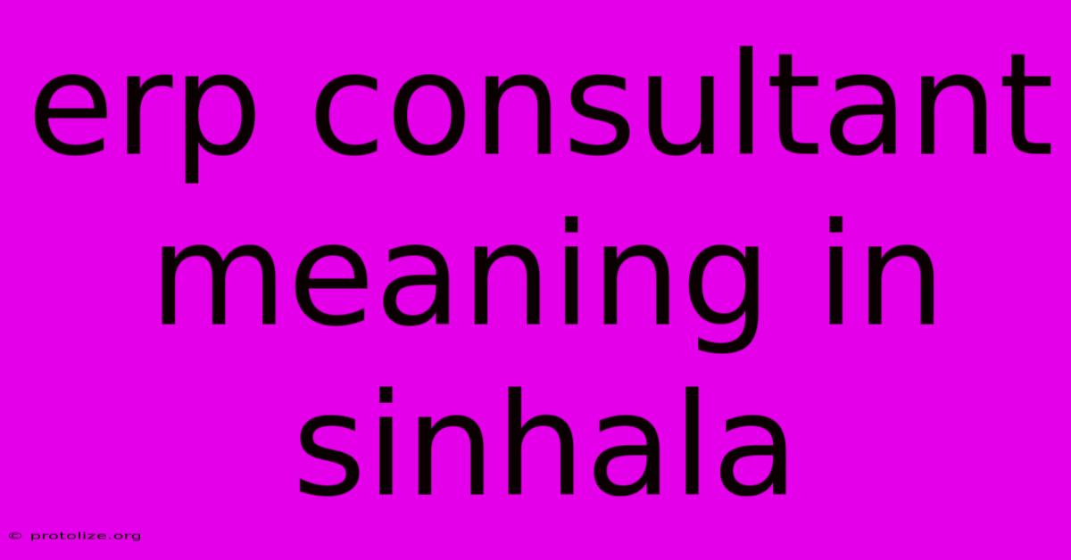 Erp Consultant Meaning In Sinhala